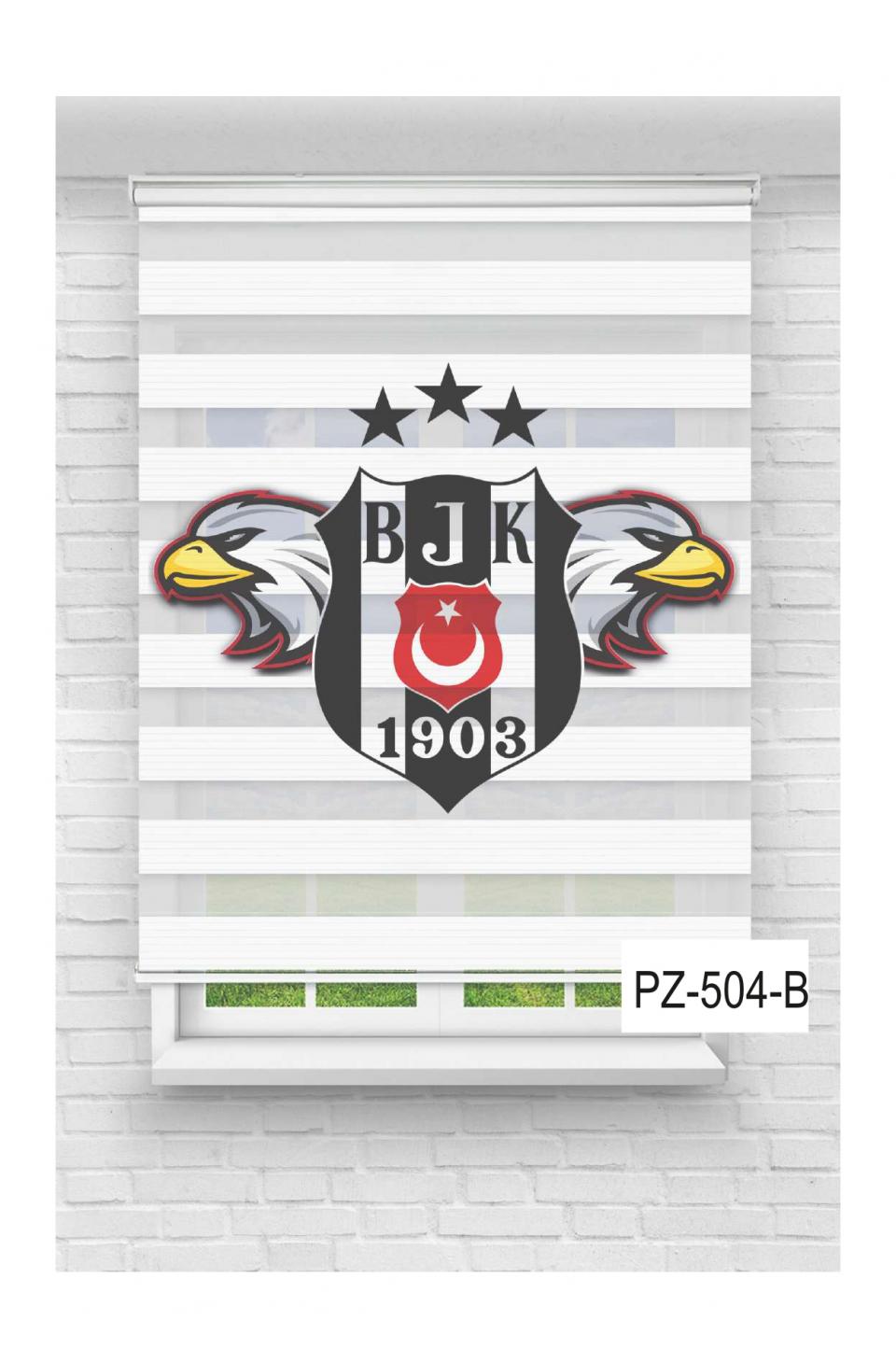 Beşiktaş6